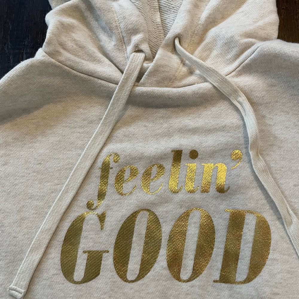 Aerie Short Sleeve Hoodie